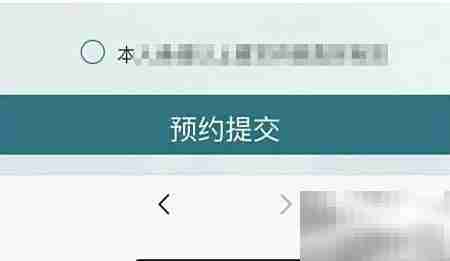 太子峪扫墓预约指南