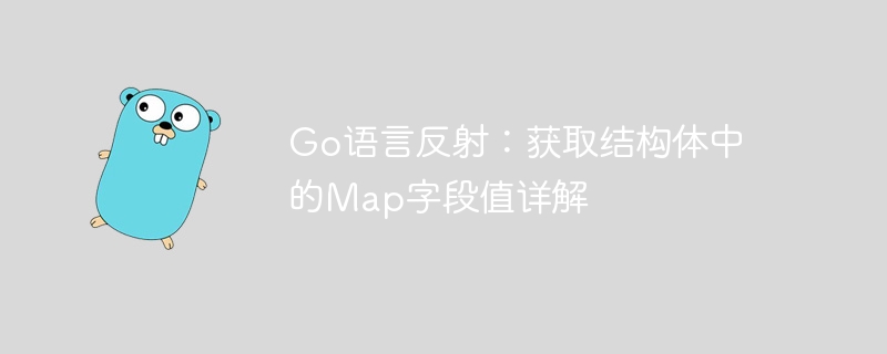 Go反射获取结构体Map字段值全解析