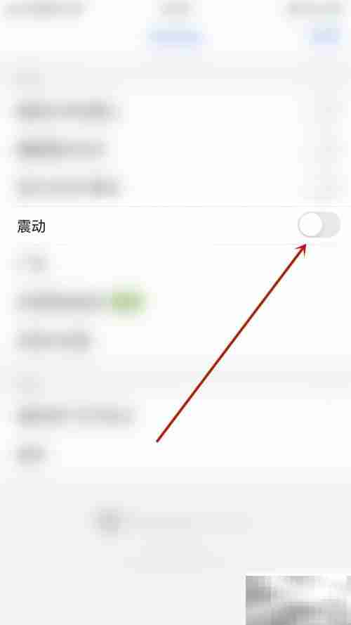 启用Polaris Viewer震动方法