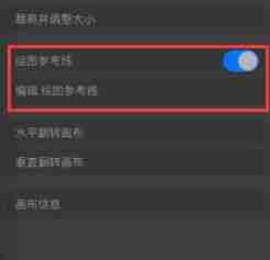 《procreate》对称作画教程