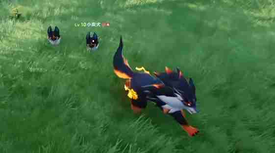 《伊莫》新手期宠物选择攻略