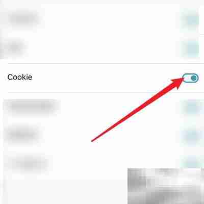 清理Dark Browser的Cookie方法