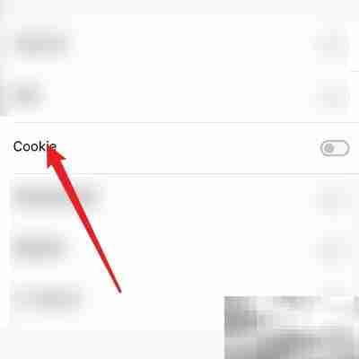 清理Dark Browser的Cookie方法