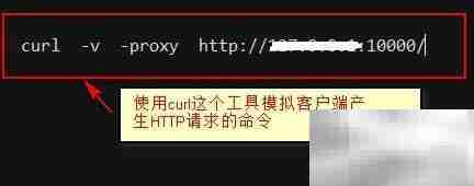Proxy Lab调试技巧