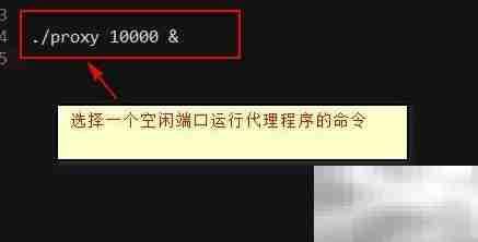 Proxy Lab调试技巧