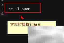 Proxy Lab调试技巧