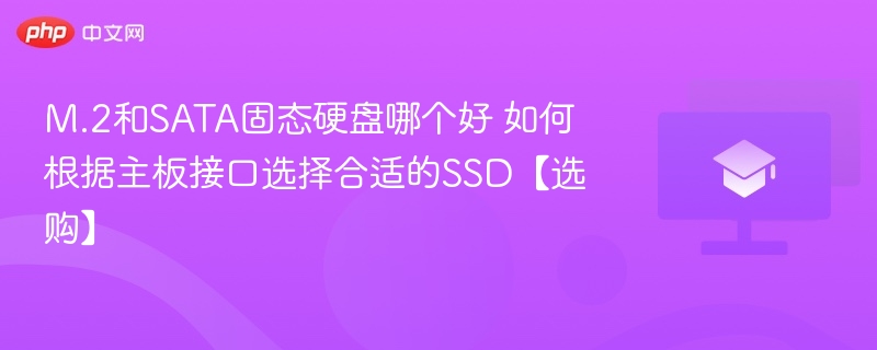 M.2和SATA固态硬盘哪个好 如何根据主板接口选择合适的SSD【选购】
