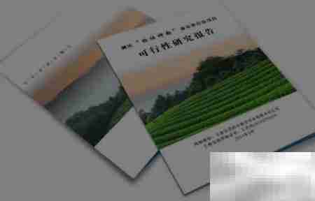 项目兴建理由与目标解析