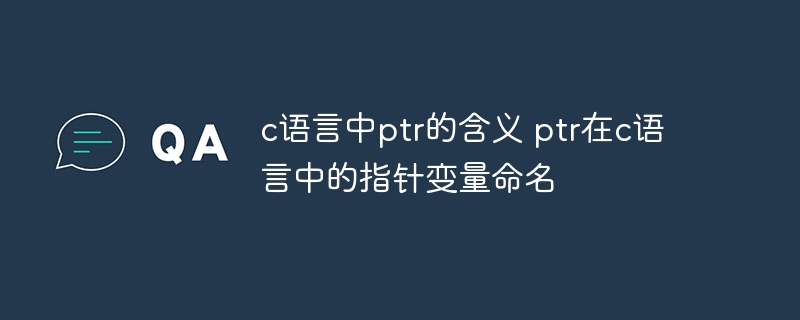 C语言中ptr指针变量命名解析