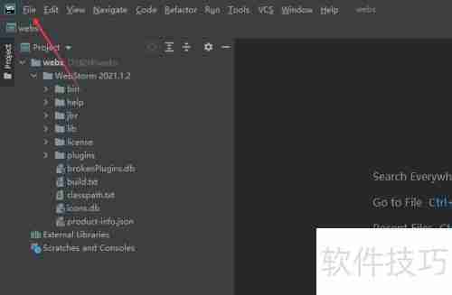 WebStorm关闭脚本语言方法