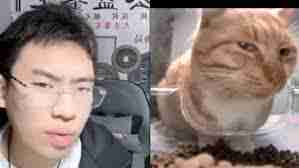 听泉鉴宝在哪直播