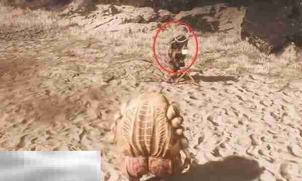 光与影33号远征队商人合集：商人可拉罗点位与售货单简介