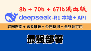 满血版deepseek如何本地部署