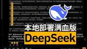 满血版deepseek如何本地部署