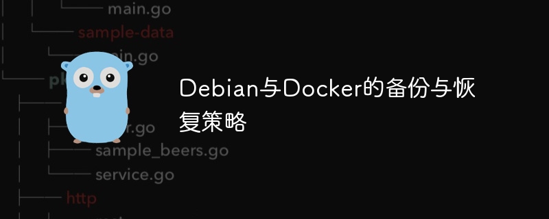 Debian与Docker备份恢复技巧分享