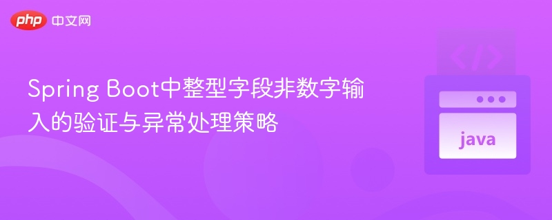 Spring Boot整型验证与异常处理方法