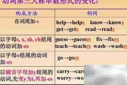 a number of后接复数还是单数？