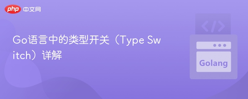 Go语言中的类型开关（Type Switch）详解