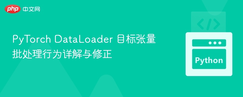 PyTorch DataLoader 目标张量批处理行为详解与修正
