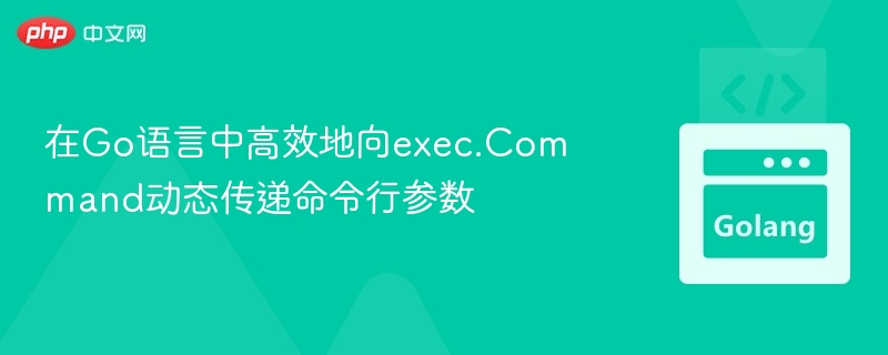 Go中动态传递命令行参数技巧