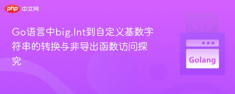 Go中big.Int转自定义基数字符串及非导出函数研究
