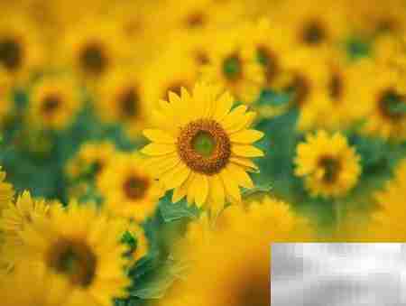 摆脱原生家庭负面影响