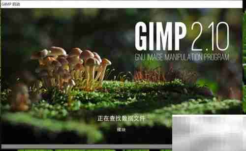 GMIP 2.10安装指南