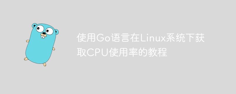 Go语言获取Linux CPU使用率教程