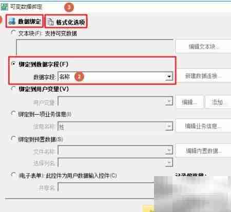 个性化标签打印:可变数据与条码
