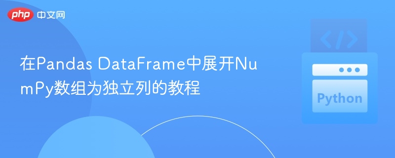 在Pandas DataFrame中展开NumPy数组为独立列的教程