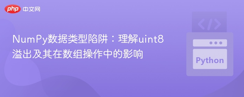 NumPy uint8溢出陷阱及数组影响解析