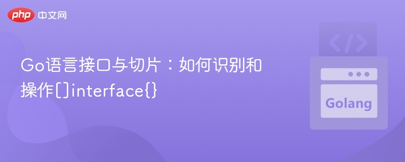Go语言接口与切片：如何识别和操作[]interface{}