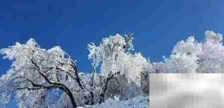 太子岭滑雪全攻略