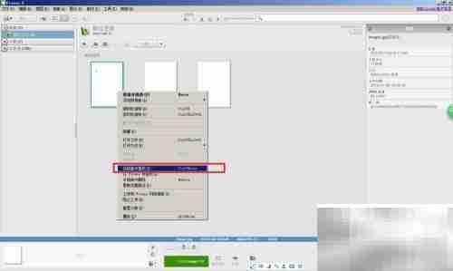 Picasa扫描打印机文档指南