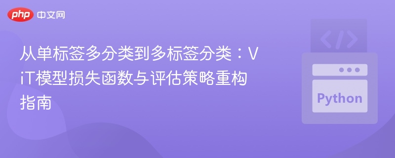 ViT模型从单标签到多标签的优化指南