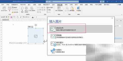 WORD插入图片控件方法