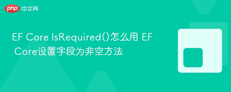 EF Core IsRequired()怎么用 EF Core设置字段为非空方法