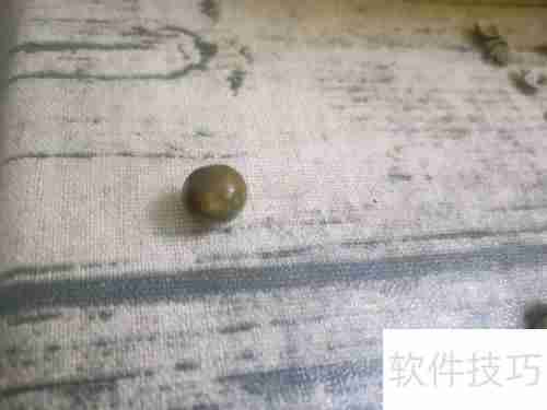 健脾豪华版奶茶:温暖脾胃的秋冬饮品选择