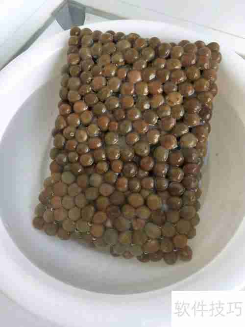 健脾豪华版奶茶:温暖脾胃的秋冬饮品选择