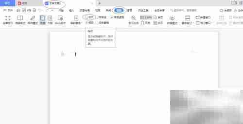 WPS 2022显示标尺设置方法