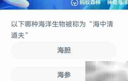 海中清道夫是哪种生物?