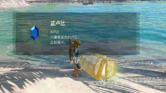 塞尔达传说王国之泪爸爸的蓝色衬衫在哪-爸爸的蓝色衬衫位置一览