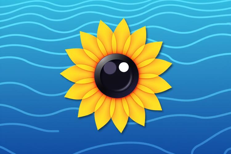 向日葵客户端怎么设置服务端监控_向日葵客户端服务端监控功能设置方法