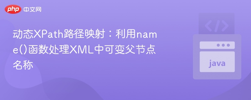 动态XPath：用name()处理可变父节点
