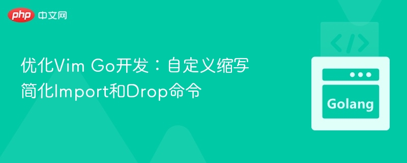 优化Vim Go开发：自定义缩写提升Import与Drop效率