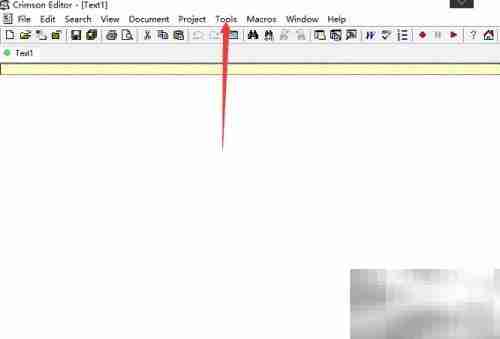Crimson Editor关闭制表符显示