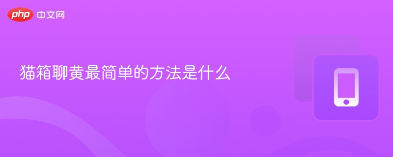猫箱聊黄最简单的方法是什么