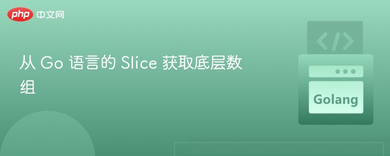 从 Go 语言的 Slice 获取底层数组