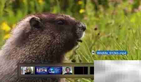 QuickTime编辑音视频技巧