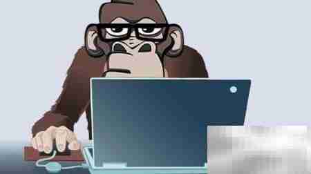 淘客程序选择指南